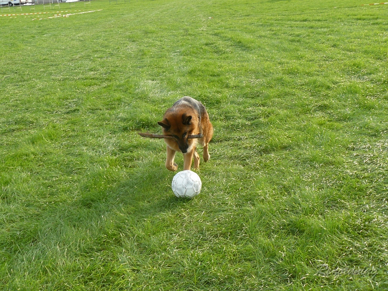 P1120556.JPG